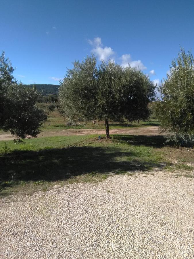 Vacances Vaison La Romaine Luaran gambar